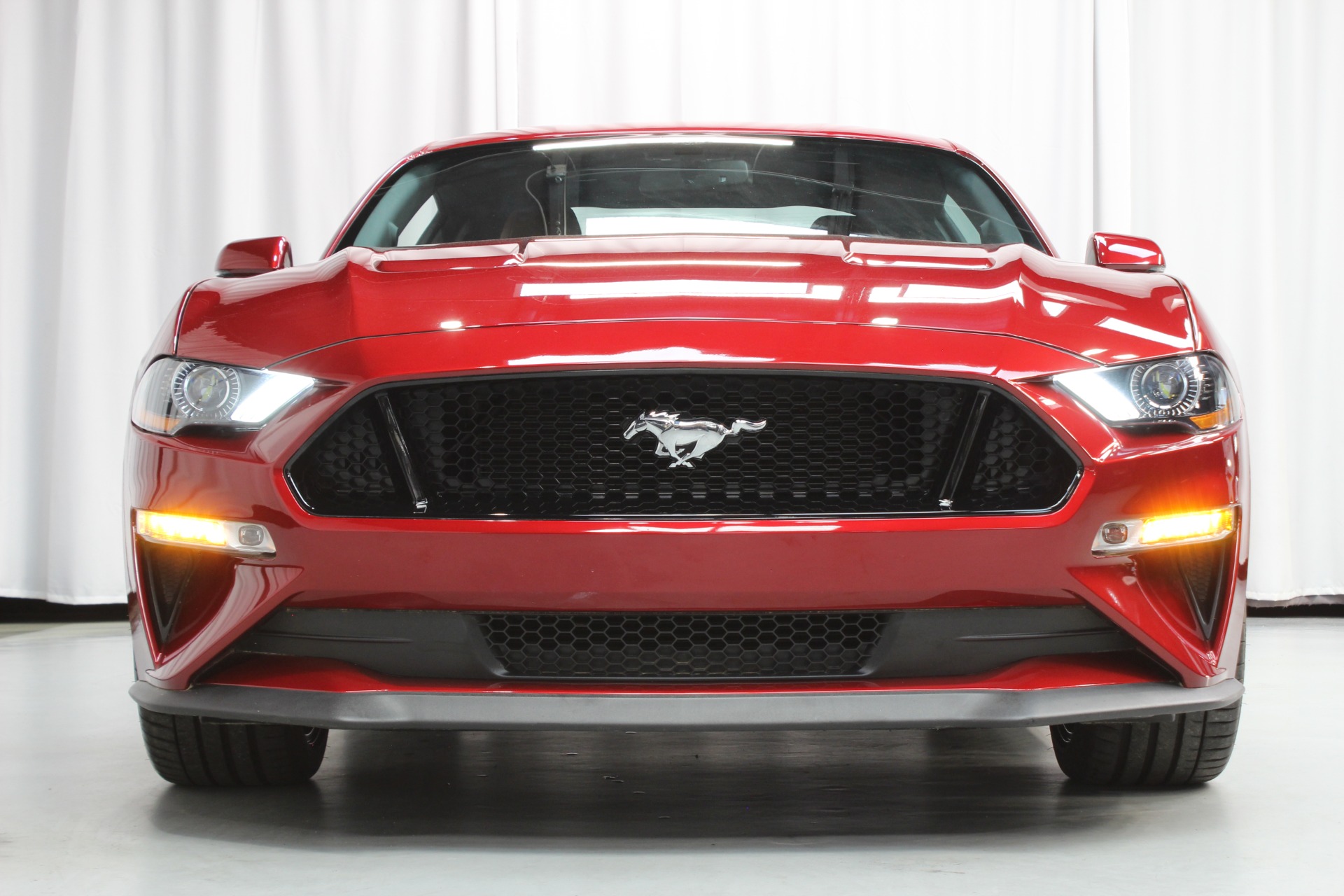 Used 2019 Ford Mustang GT Premium Performance Package For Sale (Sold) |  Momentum Motorcars Inc Stock #197021